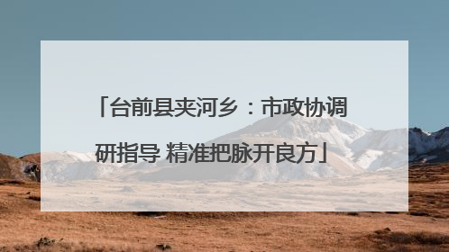 台前县夹河乡：市政协调研指导 精准把脉开良方