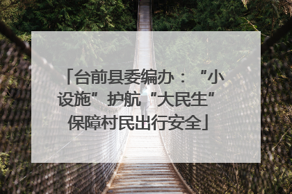 台前县委编办：“小设施”护航“大民生” 保障村民出行安全