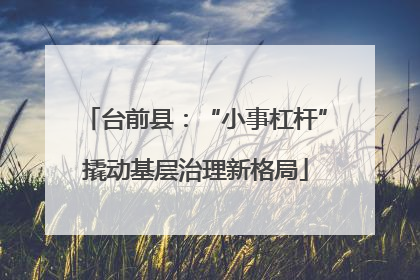 台前县：“小事杠杆”撬动基层治理新格局