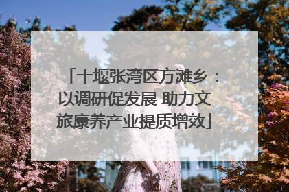 十堰张湾区方滩乡：以调研促发展 助力文旅康养产业提质增效