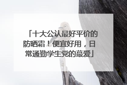 十大公认最好平价的防晒霜！便宜好用，日常通勤学生党的蕞爱