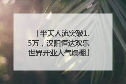 半天人流突破1.5万，汉阳恒达欢乐世界开业人气爆棚