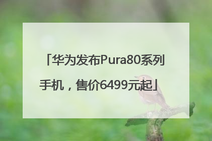 华为发布Pura80系列手机，售价6499元起