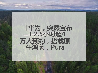 华为，突然宣布！2.5小时超4万人预约，搭载原生鸿蒙，Pura 80外观曝光