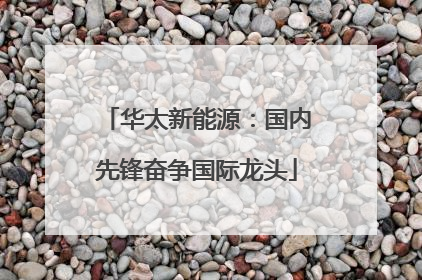 华太新能源：国内先锋奋争国际龙头