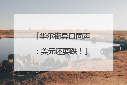 华尔街异口同声：美元还要跌！