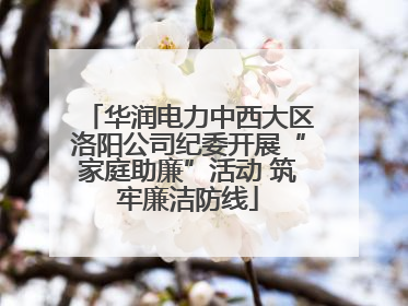 华润电力中西大区洛阳公司纪委开展“家庭助廉”活动 筑牢廉洁防线