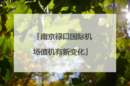 南京禄口国际机场值机有新变化