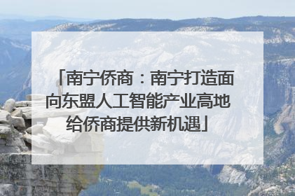南宁侨商：南宁打造面向东盟人工智能产业高地给侨商提供新机遇