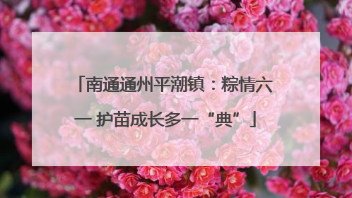 南通通州平潮镇：粽情六一 护苗成长多一“典”