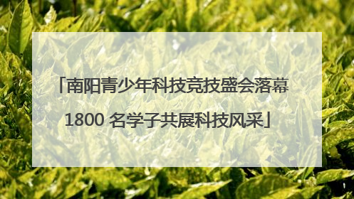 南阳青少年科技竞技盛会落幕 1800 名学子共展科技风采