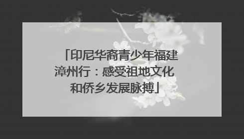 印尼华裔青少年福建漳州行：感受祖地文化和侨乡发展脉搏