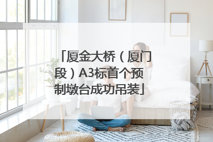 厦金大桥（厦门段）A3标首个预制墩台成功吊装