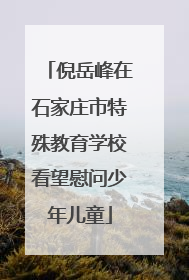 倪岳峰在石家庄市特殊教育学校看望慰问少年儿童