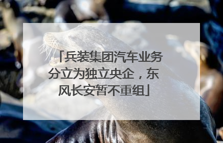 兵装集团汽车业务分立为独立央企，东风长安暂不重组