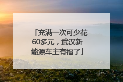 充满一次可少花60多元，武汉新能源车主有福了