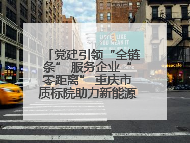 党建引领“全链条” 服务企业“零距离” 重庆市质标院助力新能源汽车产业链提升质量管理水平