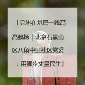党旗在基层一线高高飘扬｜北京石景山区八角中里社区党委：用脚步丈量民生