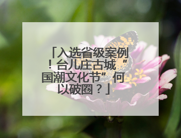 入选省级案例！台儿庄古城“国潮文化节”何以破圈？