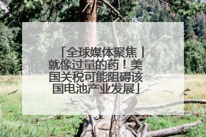 全球媒体聚焦丨就像过量的药！美国关税可能阻碍该国电池产业发展