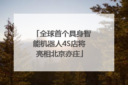 全球首个具身智能机器人4S店将亮相北京亦庄
