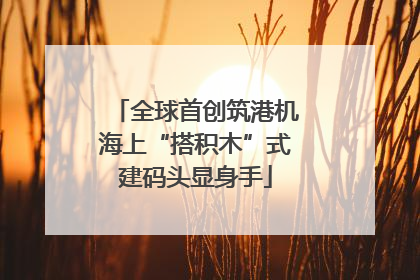 全球首创筑港机海上“搭积木”式建码头显身手