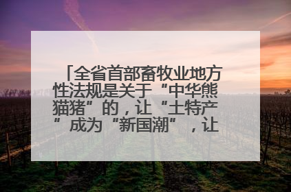 全省首部畜牧业地方性法规是关于“中华熊猫猪”的，让“土特产”成为“新国潮”，让“农产品”升格为“城市IP”