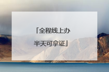全程线上办 半天可拿证