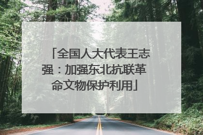全国人大代表王志强：加强东北抗联革命文物保护利用