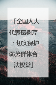 全国人大代表葛树芹：切实保护弱势群体合法权益