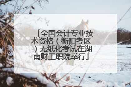 全国会计专业技术资格（衡阳考区）无纸化考试在湖南财工职院举行