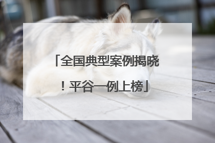 全国典型案例揭晓！平谷一例上榜