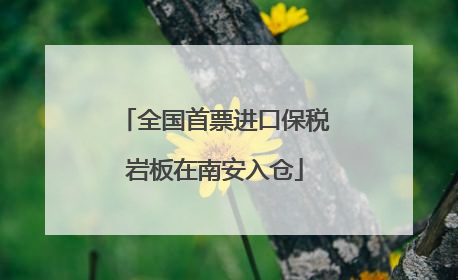 全国首票进口保税岩板在南安入仓