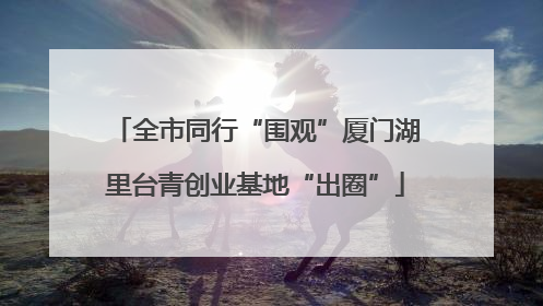 全市同行“围观”厦门湖里台青创业基地“出圈”