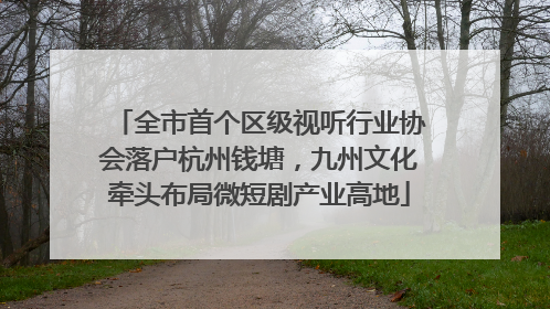 全市首个区级视听行业协会落户杭州钱塘，九州文化牵头布局微短剧产业高地