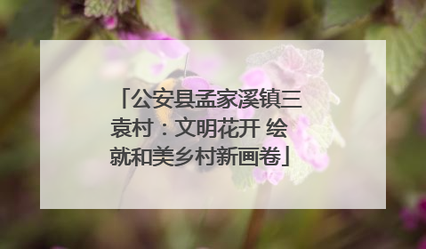 公安县孟家溪镇三袁村：文明花开 绘就和美乡村新画卷