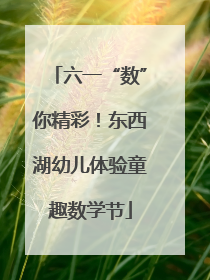 六一“数”你精彩！东西湖幼儿体验童趣数学节