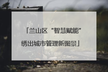兰山区“智慧赋能”绣出城市管理新图景