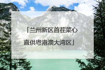 兰州新区首茬菜心直供粤港澳大湾区