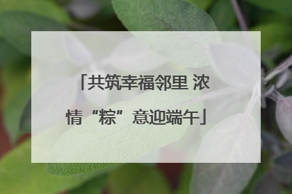 共筑幸福邻里 浓情“粽”意迎端午