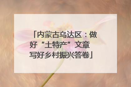 内蒙古乌达区：做好“土特产”文章 写好乡村振兴答卷