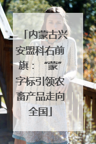内蒙古兴安盟科右前旗：“蒙”字标引领农畜产品走向全国