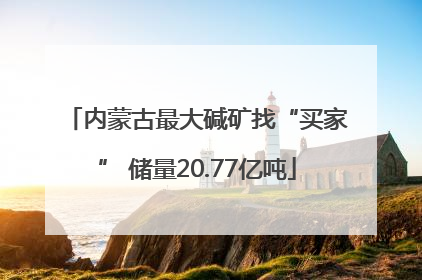 内蒙古最大碱矿找“买家” 储量20.77亿吨