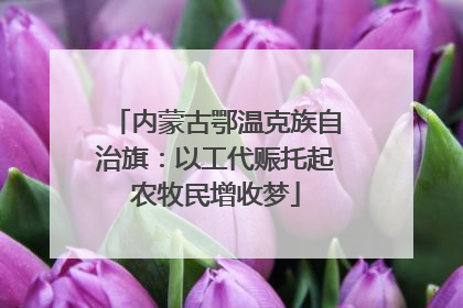 内蒙古鄂温克族自治旗：以工代赈托起农牧民增收梦