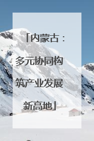 内蒙古：多元协同构筑产业发展新高地