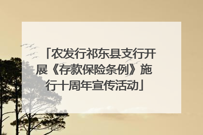 农发行祁东县支行开展《存款保险条例》施行十周年宣传活动