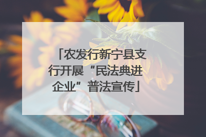 农发行新宁县支行开展“民法典进企业”普法宣传
