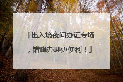 出入境夜间办证专场，错峰办理更便利！