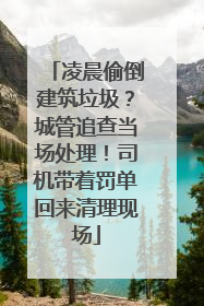 凌晨偷倒建筑垃圾？城管追查当场处理！司机带着罚单回来清理现场