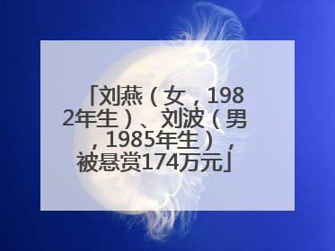 刘燕（女，1982年生）、刘波（男，1985年生），被悬赏174万元